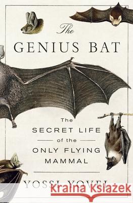 The Genius Bat: The Secret Life of the Only Flying Mammal Yossi Yovel 9781250378446 St. Martin's Press - książka