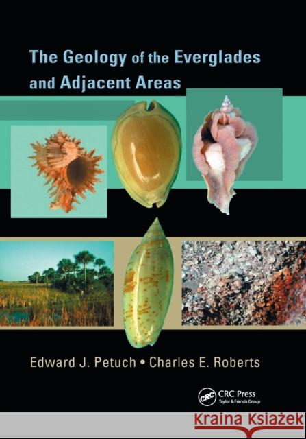 The Geology of the Everglades and Adjacent Areas Edward J. Petuch Charles Roberts 9780367389215 CRC Press - książka