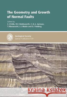 The Geometry and Growth of Normal Faults C. Childs, R. E. Holdsworth, C. A. L. Jackson, T. Manzocchi, J.J. Walsh, G. Yielding 9781862399679 Geological Society - książka