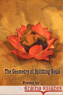 The Geometry of Splitting Souls Robin Lim 1st World Library                        1st World Publishing 9781421886343 1st World Publishing - książka