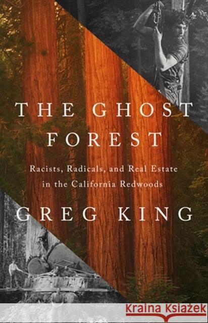 The Ghost Forest: Racists, Radicals, and Real Estate in the California Redwoods Greg King 9781541768673 PublicAffairs - książka