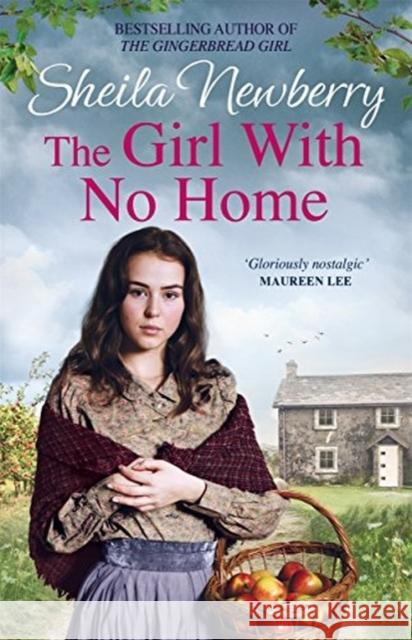 The Girl with No Home Newberry, Sheila 9781785764561  - książka