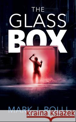 The Glass Box Mary Walsh Jennifer Hurley Mark J. Rolli 9781637323755 ISBN Services - książka