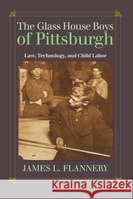 The Glass House Boys of Pittsburgh: Law, Technology, and Child Labor James Flannery 9780822943778 University of Pittsburgh Press - książka