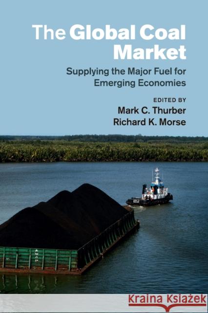 The Global Coal Market: Supplying the Major Fuel for Emerging Economies Mark C. Thurber Richard K. Morse 9781107465749 Cambridge University Press - książka