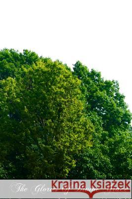 The Glories Of Divine Grace Scheeben, M. Jos 9781470018993 Createspace - książka