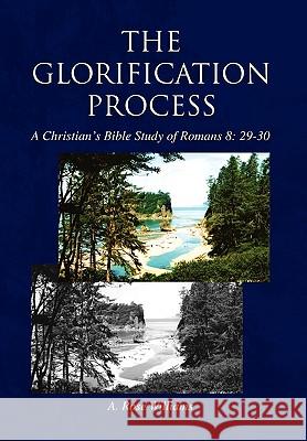 The Glorification Process A. Rose Williams 9781450032339 Xlibris Corporation - książka