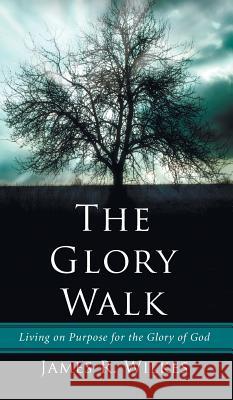 The Glory Walk James R Wilkes 9781498255837 Resource Publications (CA) - książka