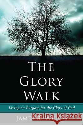 The Glory Walk James R. Wilkes 9781608993567 Resource Publications - książka