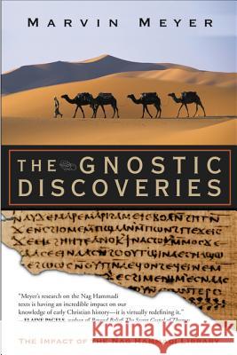 The Gnostic Discoveries: The Impact of the Nag Hammadi Library Marvin Meyer 9780060858322 HarperOne - książka