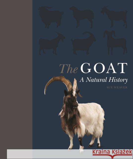 The Goat: A Natural and Cultural History Sue Weaver Debbie Cherney 9780691191331 Princeton University Press - książka