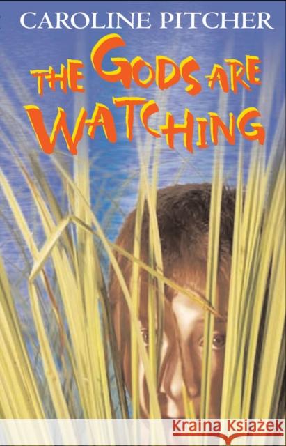 The Gods are Watching Caroline Pitcher 9780713668599 A & C BLACK PUBLISHERS LTD - książka