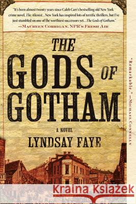 The Gods of Gotham Faye, Lyndsay 9780425261255 Berkley Publishing Group - książka