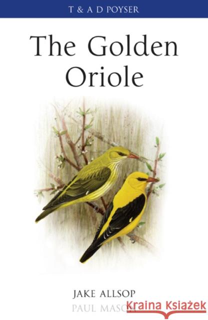 The Golden Oriole Paul Mason, Jake Allsop 9780713676839 Bloomsbury Publishing PLC - książka