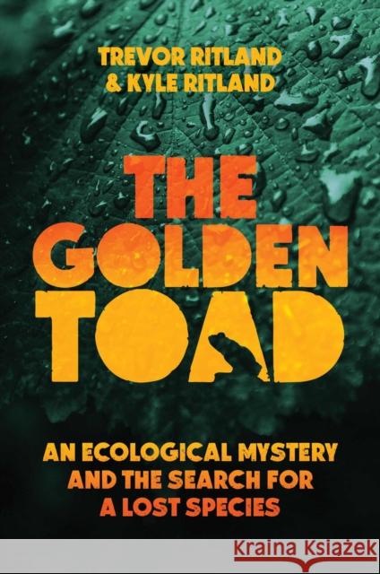 The Golden Toad: An Ecological Mystery and the Search for a Lost Species Kyle Ritland 9781635769968 Diversion Books - książka