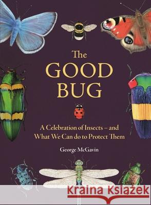 The Good Bug: A Celebration of Insects (and What We Can Do to Protect Them) McGavin, George 9781789296693 Michael O'Mara Books Ltd - książka