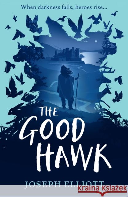 The Good Hawk (Shadow Skye, Book One) Elliott, Joseph 9781406385854 Walker Books Ltd - książka