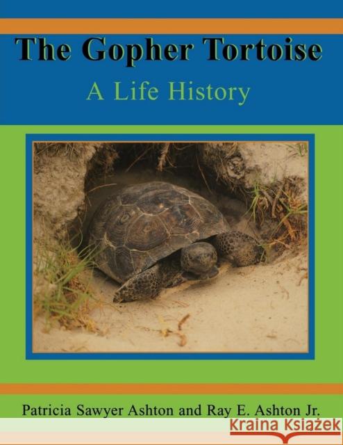The Gopher Tortoise: A Life History Patricia Sawyer Ashton Ray E. Ashton 9781561643011 Pineapple Press (FL) - książka