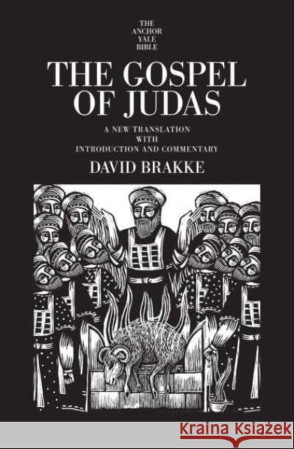 The Gospel of Judas: A New Translation with Introduction and Commentary David Brakke 9780300173260 Yale University Press - książka