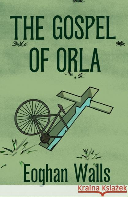 The Gospel of Orla Eoghan Walls 9781838415990 Seven Stories Press UK - książka