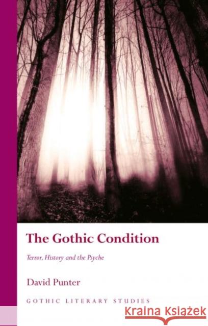 The Gothic Condition: Terror, History and the Psyche Punter, David 9781783168217 University of Wales Press - książka