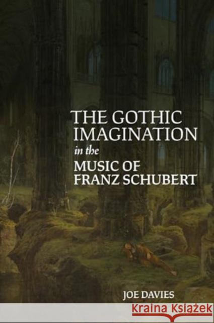 The Gothic Imagination in the Music of Franz Schubert Joe Davies 9781837651627 Boydell Press - książka