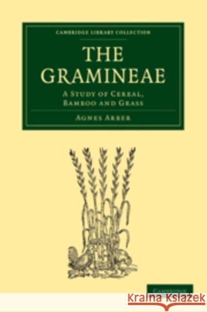 The Gramineae: A Study of Cereal, Bamboo and Grass Arber, Agnes 9781108017312 Cambridge University Press - książka