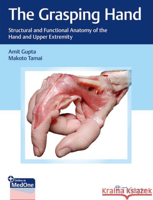 The Grasping Hand: Structural and Functional Anatomy of the Hand and Upper Extremity Amit Gupta Makoto Tamai 9781604068160 Thieme Medical Publishers - książka