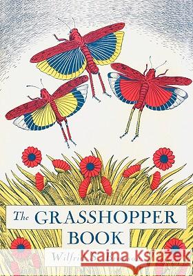 The Grasshopper Book Wilfrid S Bronson 9780865346901 Sunstone Press - książka