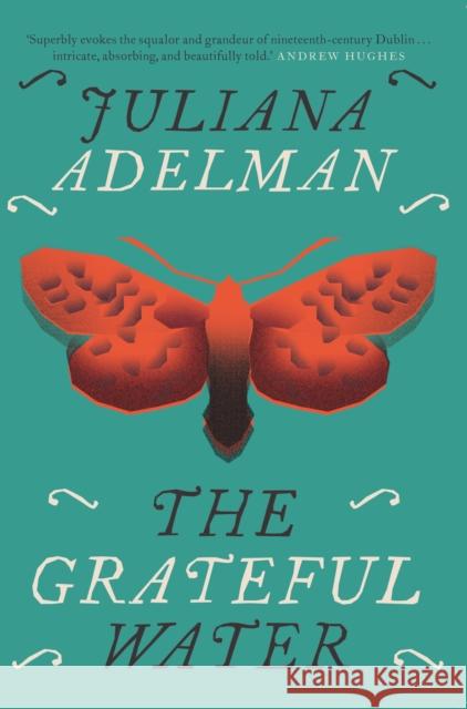 The Grateful Water Juliana Adelman 9781848409248 New Island Books - książka