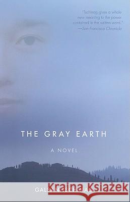 The Gray Earth Katharina Rout 9781571310651 Milkweed Editions - książka