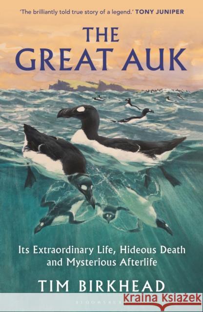 The Great Auk: Its Extraordinary Life, Hideous Death and Mysterious Afterlife - A DAILY TELEGRAPH BOOK OF THE YEAR Tim Birkhead 9781399415743 Bloomsbury Publishing PLC - książka