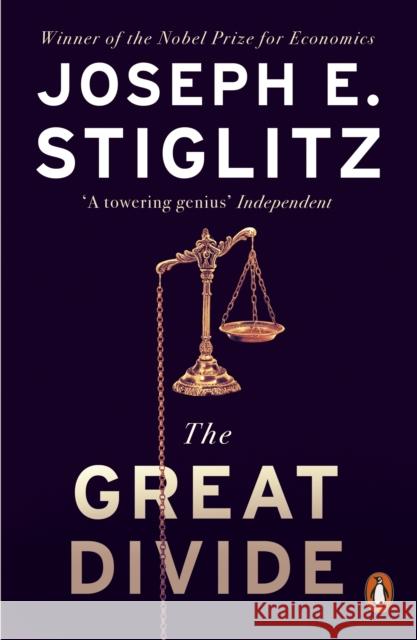 The Great Divide Stiglitz Joseph 9780141981222 Penguin Books Ltd - książka