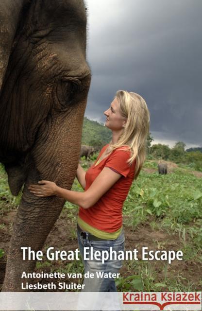 The Great Elephant Escape Antoinette Va Liesbeth Sluiter 9789749511640 Silkworm Books - książka