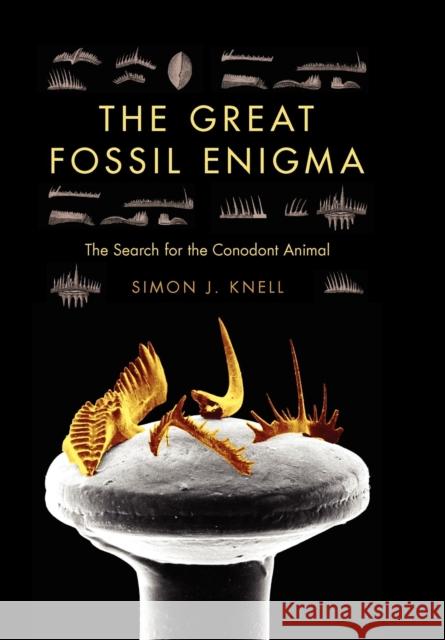 The Great Fossil Enigma: The Search for the Conodont Animal Knell, Simon J. 9780253006042 Indiana University Press - książka