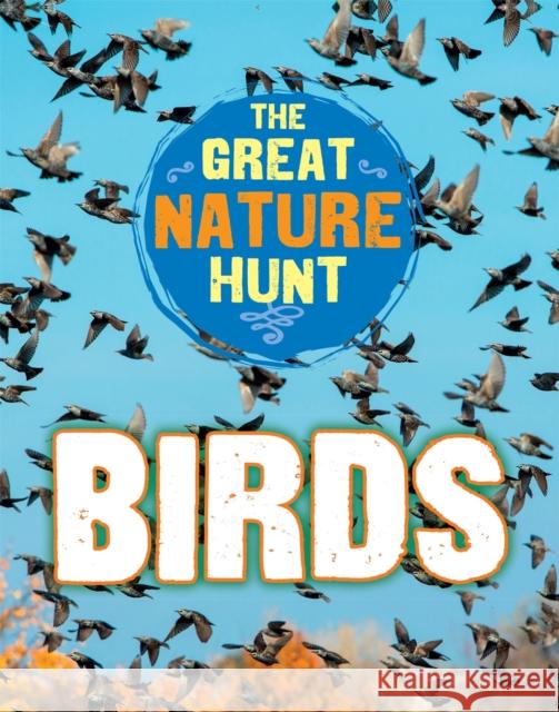The Great Nature Hunt: Birds Cath Senker 9781445145259 Hachette Children's Group - książka
