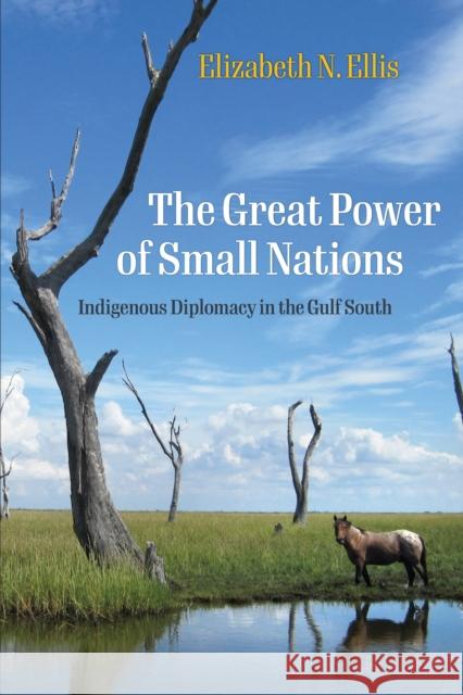 The Great Power of Small Nations: Indigenous Diplomacy in the Gulf South Elizabeth N. Ellis 9781512823097 University of Pennsylvania Press - książka