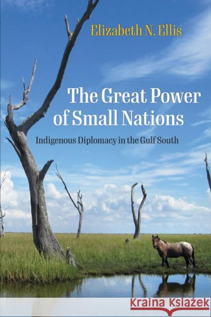 The Great Power of Small Nations: Indigenous Diplomacy in the Gulf South Elizabeth N. Ellis 9781512827071 University of Pennsylvania Press - książka