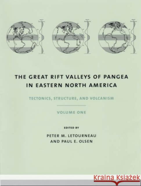 The Great Rift Valleys of Pangea in Eastern North America Peter M. Letourneau Paul E. Olsen 9780231111621 Columbia University Press - książka