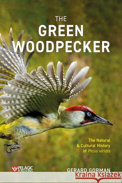 The Green Woodpecker: The Natural and Cultural History of Picus viridis Gerard Gorman 9781784274368 Pelagic Publishing - książka