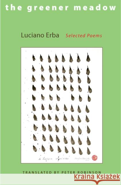 The Greener Meadow: Selected Poems Erba, Luciano 9780691127644 Princeton University Press - książka