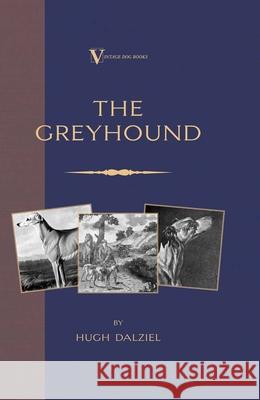 The Greyhound: Breeding, Coursing, Racing, etc. (a Vintage Dog Books Breed Classic) Matheson, James 9781846640483 Vintage Dog Books - książka