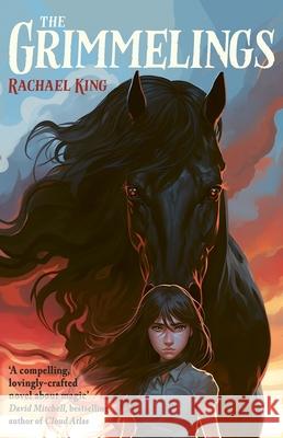 The Grimmelings Rachael King 9781916558250 Guppy Publishing Ltd - książka