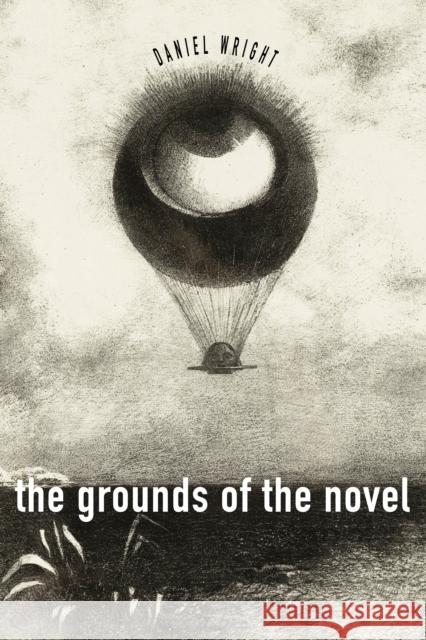 The Grounds of the Novel Daniel Wright 9781503636835 Stanford University Press - książka