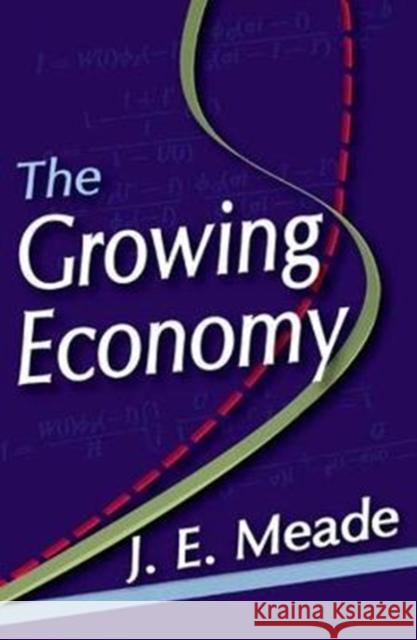 The Growing Economy J. E. Meade 9781138536067 Routledge - książka