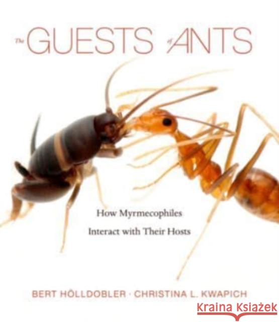 The Guests of Ants: How Myrmecophiles Interact with Their Hosts H Christina L. Kwapich 9780674265516 Harvard University Press - książka