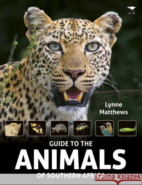 The Guide to the Animals of Southern Africa Matthews, Lynne 9781431423293  - książka