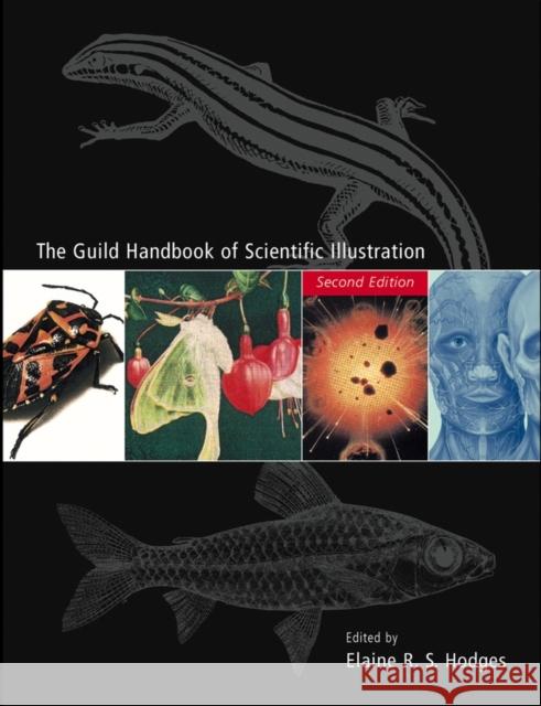 The Guild Handbook of Scientific Illustration Charles M. Close Elaine R. S. Hodges Steve Buchanan 9780471360117 John Wiley & Sons - książka