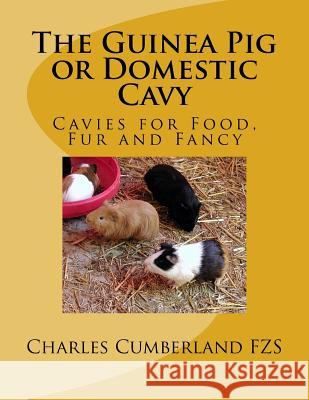 The Guinea Pig or Domestic Cavy: Cavies for Food, Fur and Fancy Charles Cumberlan Jackson Chambers 9781984192103 Createspace Independent Publishing Platform - książka