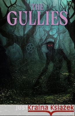 The Gullies Justin Holley 9781637893999 Macabre Ink - książka